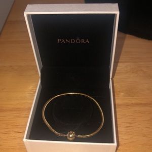 Pandora Gold Snake Chain Bracelet NWOT